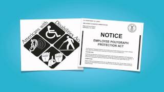 Full Lecture 17 - Privacy at Work Guide