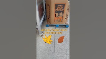 Trader Joe’s mini fall haul #groceryshopping #foodvlog #fallfood #grocerystore