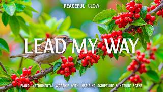 LEAD MY WAY:Peaceful Piano Worship with Bible Verses & Beautiful Spring Scenery for Peace, Hope screenshot 4