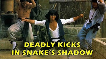 Wu Tang Collection - Lee Yi Min in Deadly Kicks In Snakes Shadow