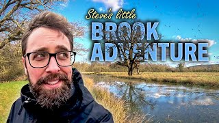 Finding the Source of My Childhood Brook (Part 2)