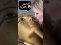 انبهار زائرة امام تابوت مومياء توت عنخ آمون اكسبلور انبهار زائرة امام تابوت مومياء توت عنخ آمون اكسبلور