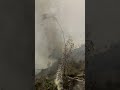 kodaikanal fire in forest....