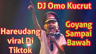 Lagu terbaru Hareudang versi dj Omo kucrut