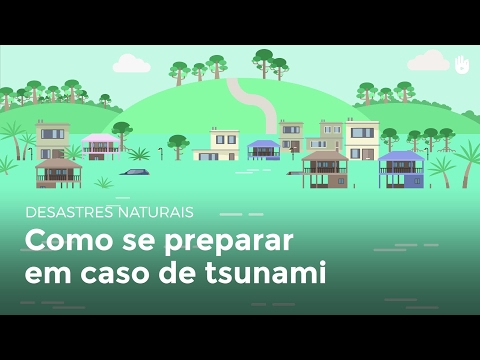 Vídeo: O Que Fazer Em Caso De Desastres Naturais, Como Fluxos De Lama