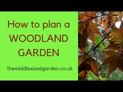 वीडियो: वुडलैंड गार्डन डिजाइन - वुडलैंड गार्डन कैसे लगाएं