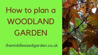 How to plan a woodland garden...