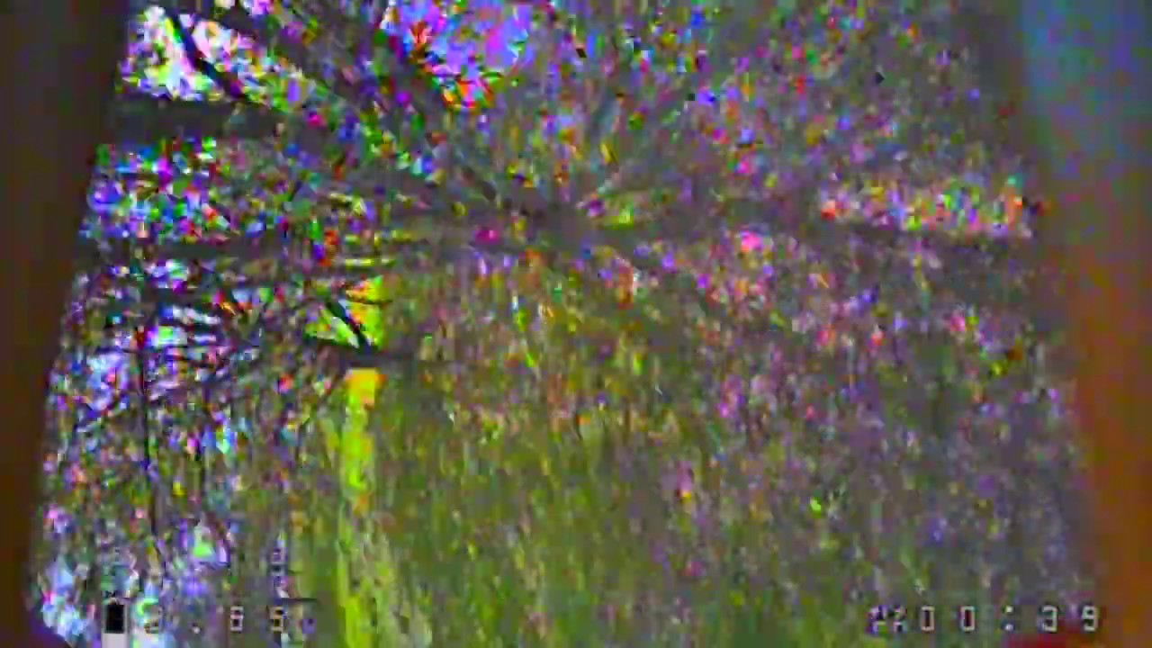 Shoolyard Romp to Spellbound