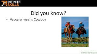 Advanced Microsoft Access 2013 Tutorial | About The Author Details