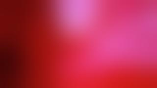 CLOSED PARADISE - SHOW (Official Video)