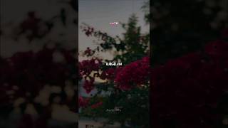 Vaaji Vaaji Song New Trending Tamil Love Status...