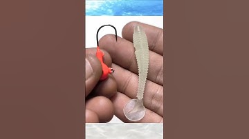 How To Put Fishing Bait To a Hook #shorts #fishing #tutorial