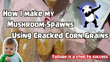 How I make my Cracked Corn Grain Spawns