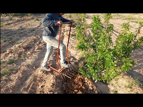 فيديو: كيف تقلب التربة الصلبة؟