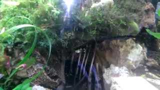 WP 20140429 001