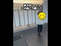 【必死】ねこちゃん探しに一生懸命・・・！
