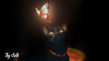 Cat Butterfly Manipulation Photoshop Tutorial