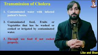 Cholera Infection | Causes | Transmission | Symptoms | Diagnosis | Treatment