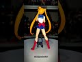 Sailor Moon & Luna / Lua - Animation Color Edition - S. H. Figuarts Bandai Action figure collection