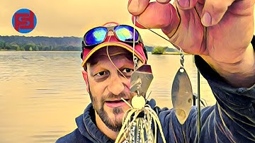 The Shad Spawn, BIG Bass in Post Spawn and how to RESPOND even when the weather is CrAzY.
