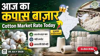 Cotton market rate today😱 आज का कपास बाज़ार  #kapas #cotton