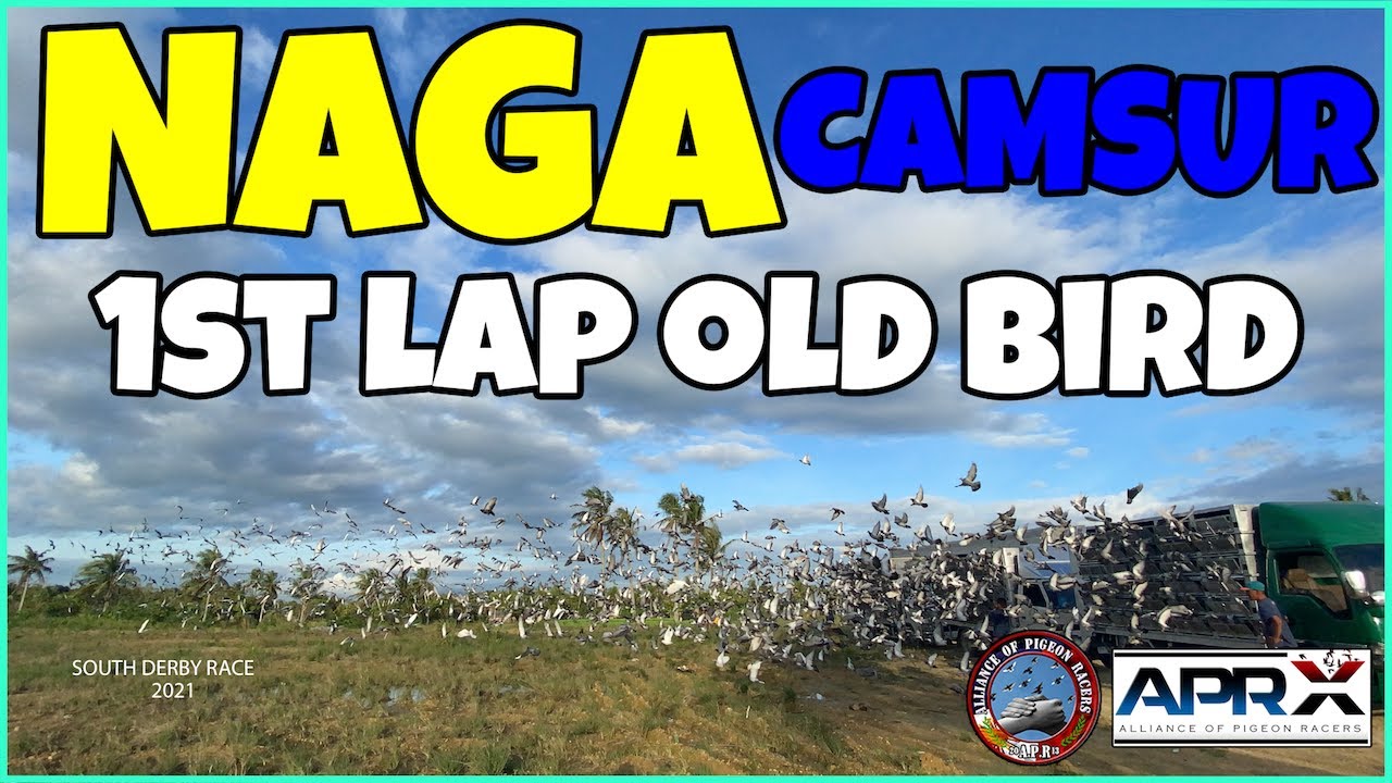 NAGA CAMARINES SUR ( 1ST LAP OB) APR | APRX | APRTV
