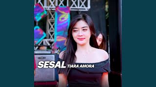 Download Lagu SESAL Download Lagu SESAL