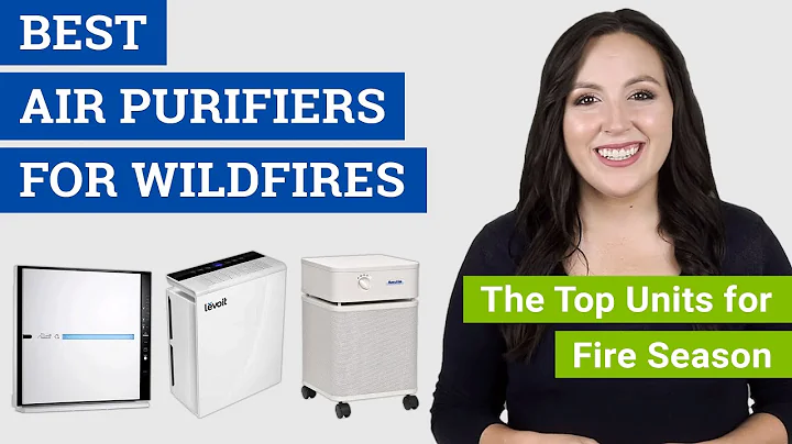 Best Air Purifier for Wildfire Smoke (2021 Reviews & Buying Guide) Air Purifiers for Fire Season