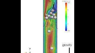 Simulation of embolus capture by a tilted IVC filter