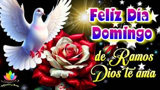 Career Overview Happy Palm Sunday! God Loves You. Sunday Message with Beautiful Phrases #motivarte11