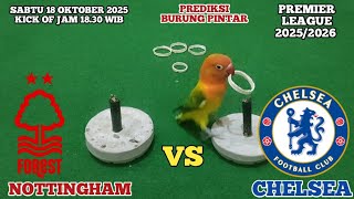 Nottingham forest vs Chelsea || Premier league 2025\/2026