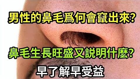 【乐厨怡妈】 男性的鼻毛为何会窜出来？鼻毛生长旺盛又说明什么？早了解早受益 - 天天要闻
