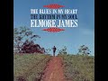 Capture de la vidéo Elmore James - The Blues In My Heart The Rhythm In My Soul (1969 Album)