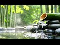 Relaxing Music for Stress, Worry, and Overthinking 🌿 Relaxing Music for Emotional Balance