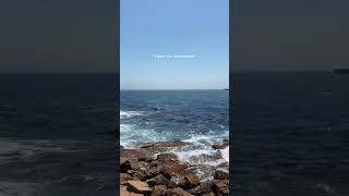 False Bay really said “expect the unexpected” this Friday morning #Weekend #WeekendVibes #Shorts