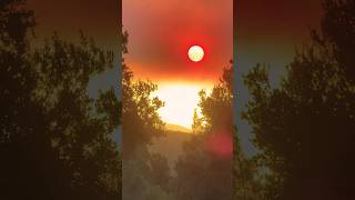 Varlık Senin Yokluk Senin Ilahi Ya Rabbi