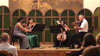 Wires - Andrea Vanzo (performed by Central European String Quartet)