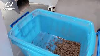 Anysort Color Sorter for Green Coffee beans