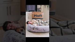 What Happened To Plufl After Shark Tank | #sharktankus