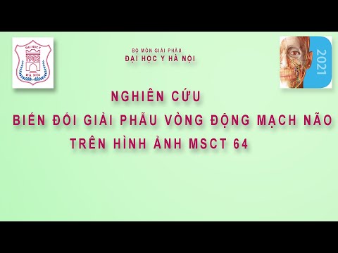 Video BIẾN ĐỔI GIẢI PHẪU VÒNG ĐỘNG MẠCH NÃO TRÊN HÌNH ẢNH... - YouTube