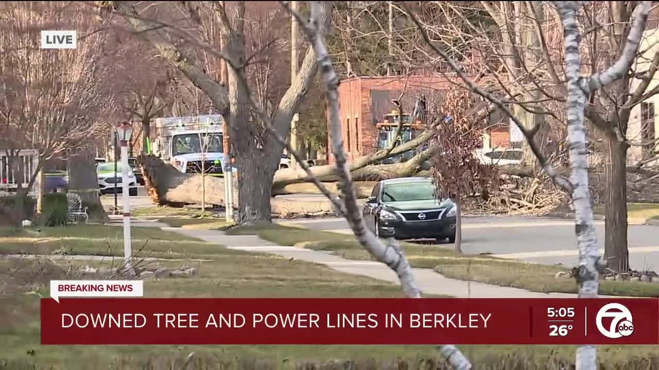 Downed tree and power lines in Berkley - YouTube