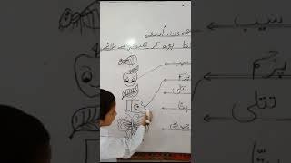 Urdu activity prep class#school #viral😱🙀 screenshot 5