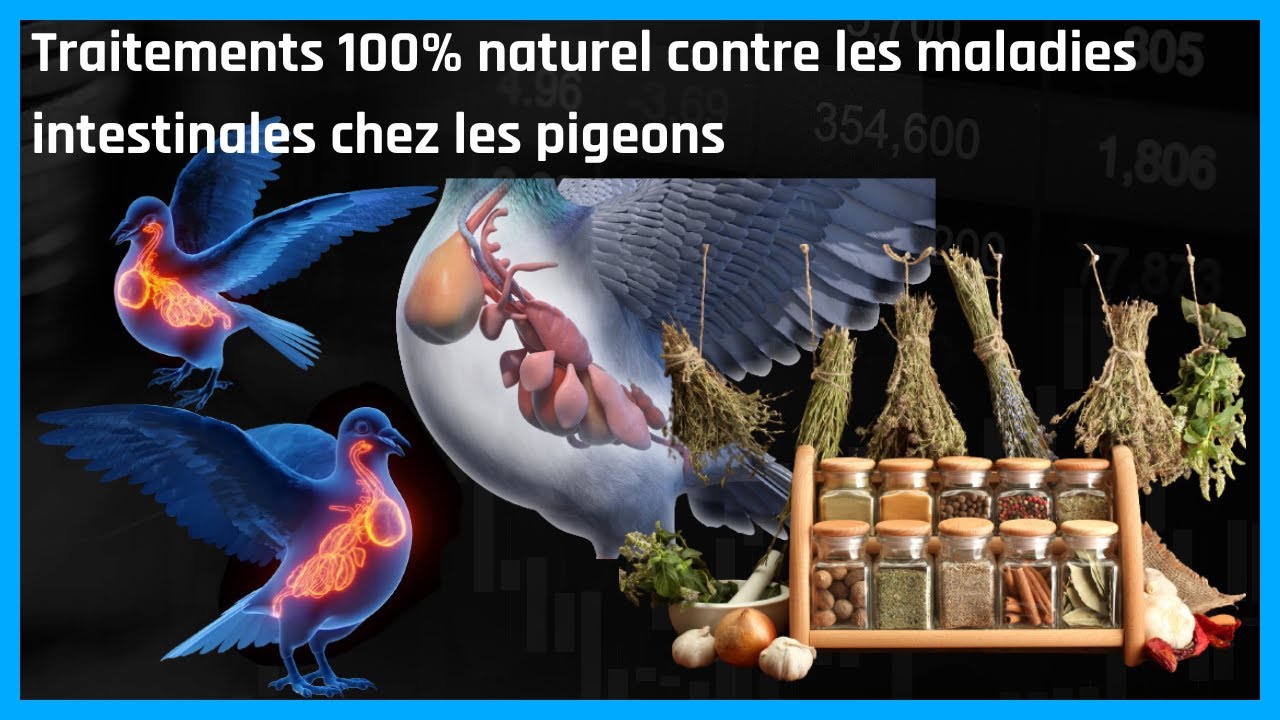 Traitements 100 naturel contre les maladies intestinales chez les — free download