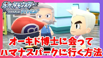 ダイパリメイク レジロック レジアイス レジスチルの入手方法 ハマナスパークの行き方やせきばんの解放方法を解説 ポケモンbdsp Mp3