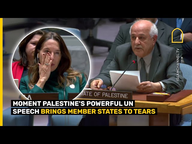 Palestine UN envoy Riyad Mansour's emotional UN speech that made UN reps cry class=