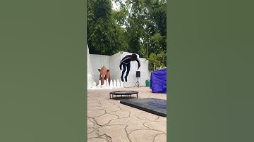 Combo frontflip backflip webster #frontflip #backflip #webster #shorts