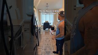 Are we good? 💀🤣 #shorts #reels #explore