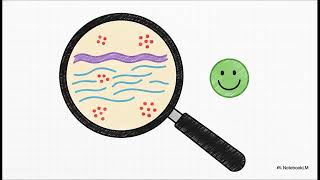 How does an ethical clinic screen for and prevent the overtreatment of norm... | WHC Clinical FAQ