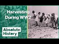 Children's Harvest Camps | Wartime Farm EP6 | Absolute History