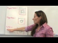 Cell Transport Mechanisms and Solutions Explained